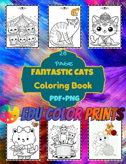 Cat Coloring Book