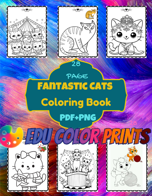 Cat Coloring Book